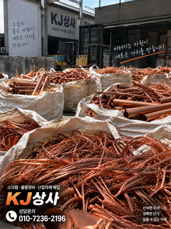 동 현장_크기.png